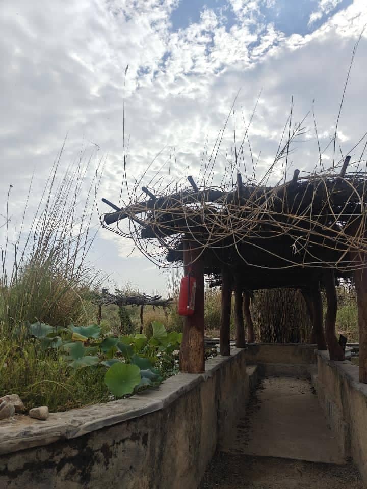 Rustic Garden Walkway, Vrindavan - Image 1