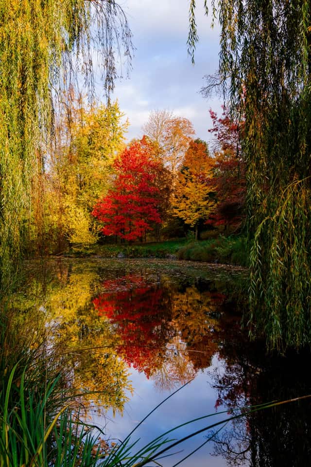 Stromovka Park (Královská Obora)