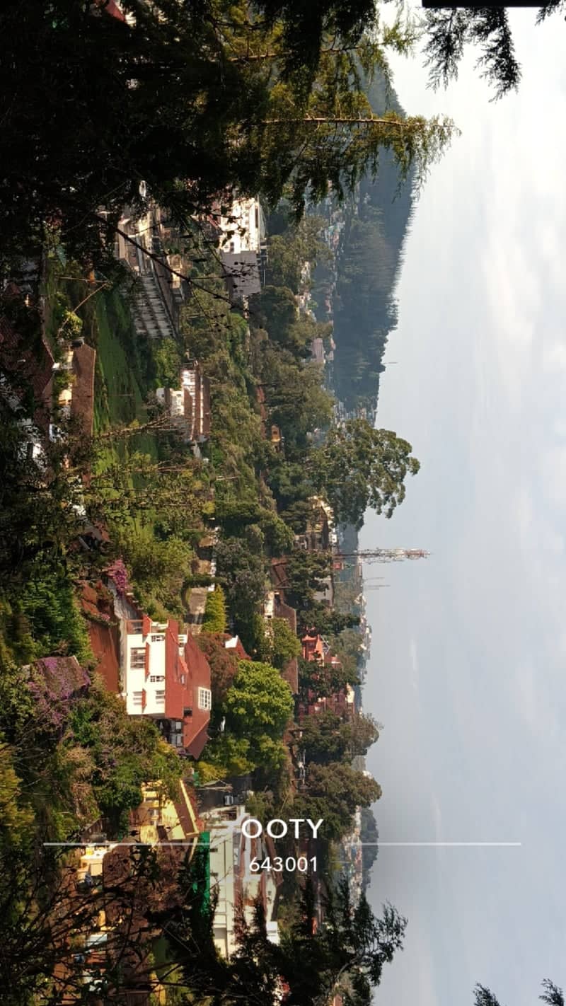 Havelock Road Overlook - Image 1