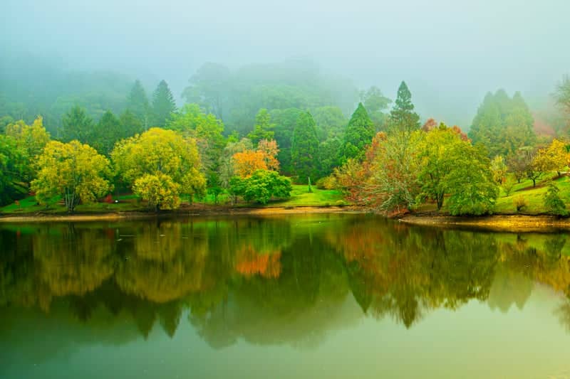 Mount Lofty Botanic Garden - Image 1