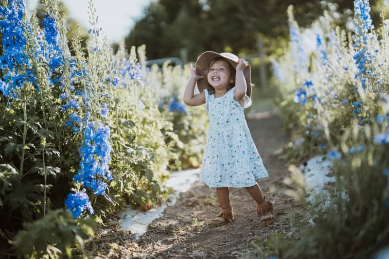Fort Collins Flower Farm - Image 1