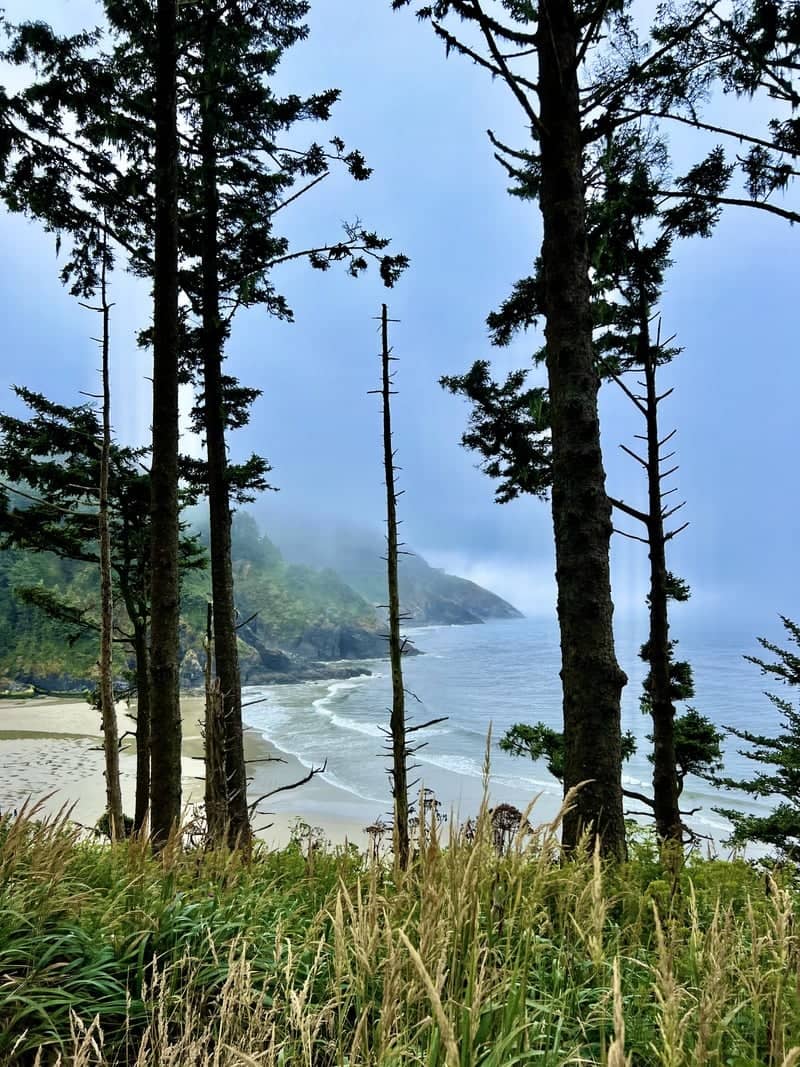 Heceta Head Coastal Overlook - Image 1
