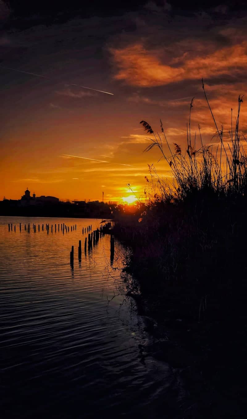 Lake Techirghiol Shoreline - Image 1