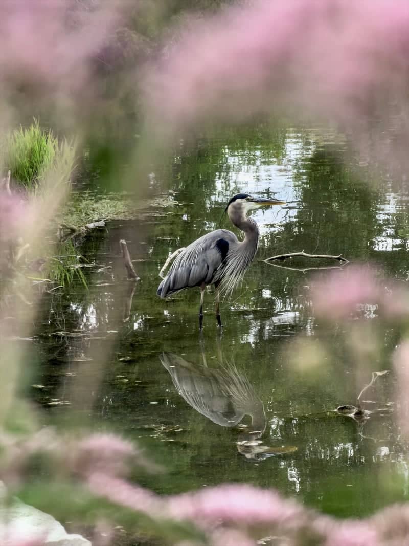 Cox Arboretum MetroPark - Image 1