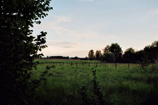 Rückersdorf Countryside Meadow - Image 1