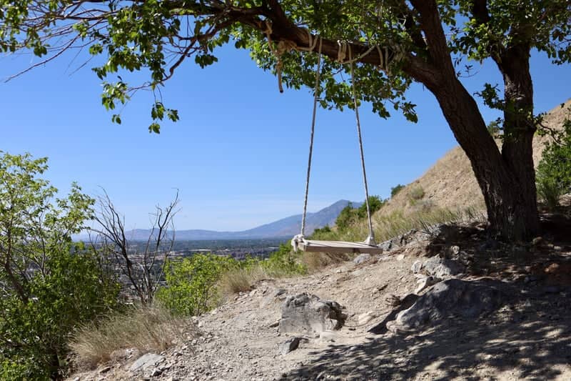Provo Foothills Tree Swing - Image 1