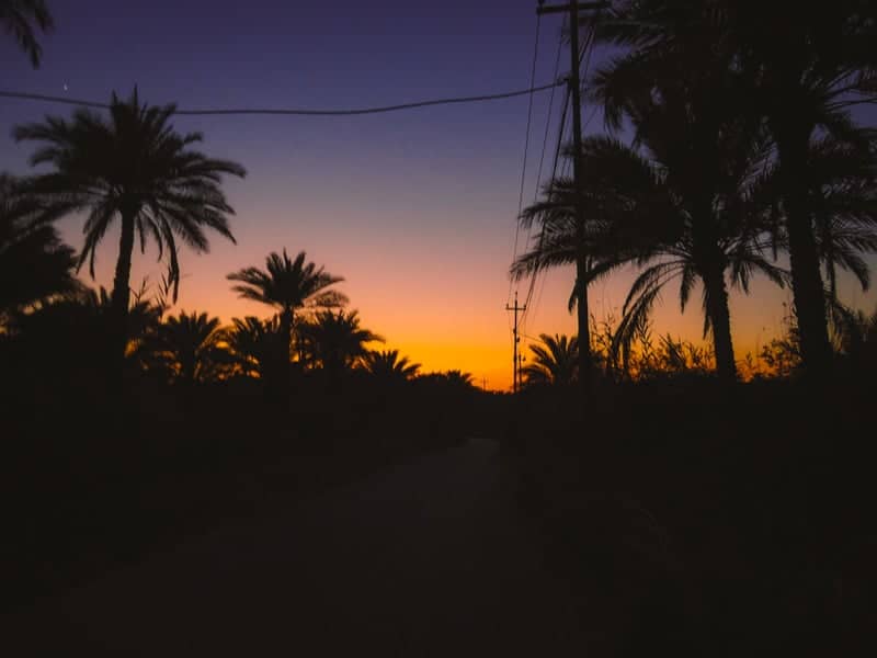 Babylon Palm Groves - Image 1