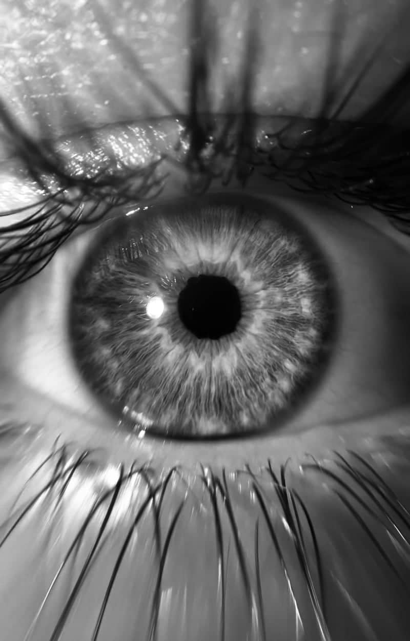 Provo Macro Portrait Studio - Image 1