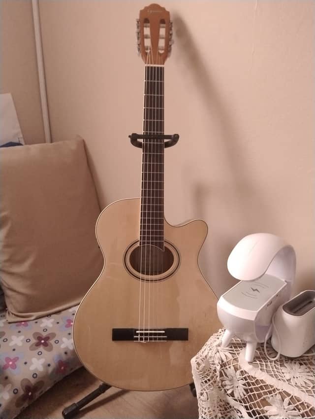 Acoustic Guitar Interior - Image 1