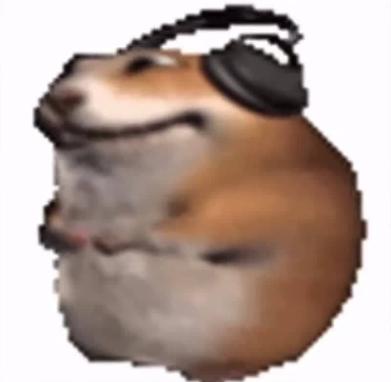 Hamster with Headphones Studio - Image 1