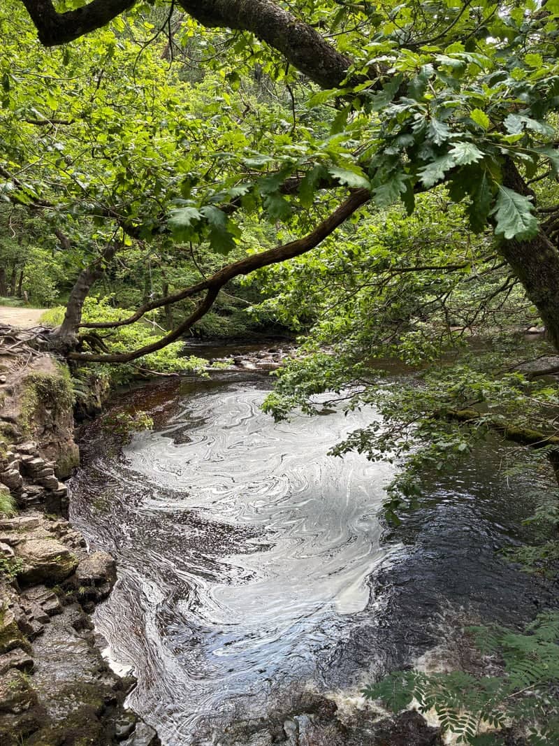Waterfall Country, Neath Valley - Image 1