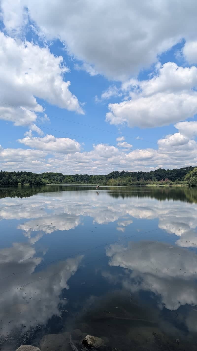 Heart Lake Conservation Park - Image 1