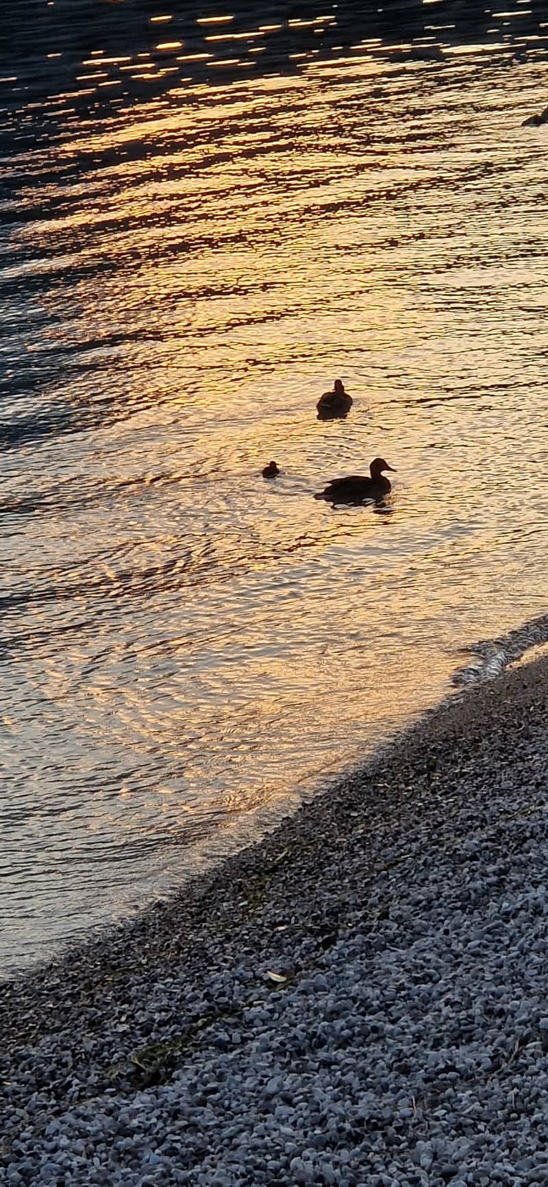 Lake Garda Shoreline at Brenzone - Image 1