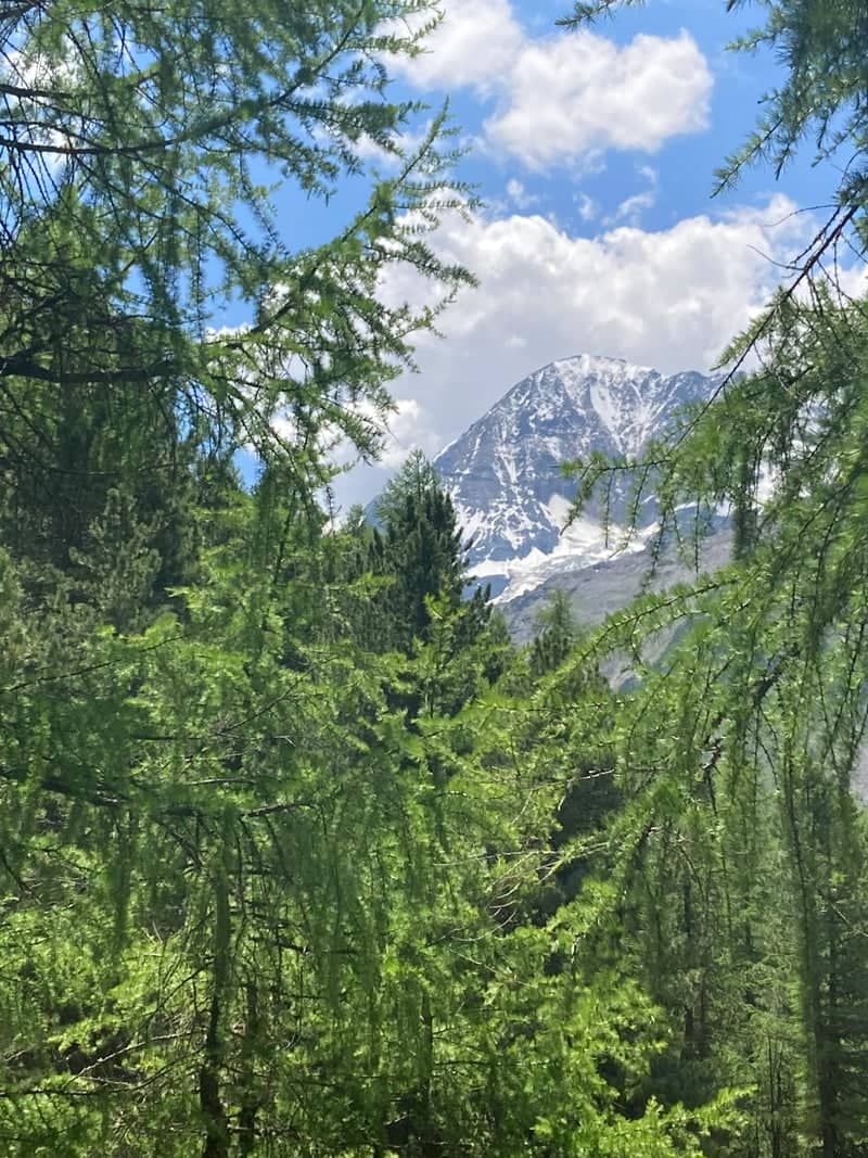 Stelvio National Park - Image 1