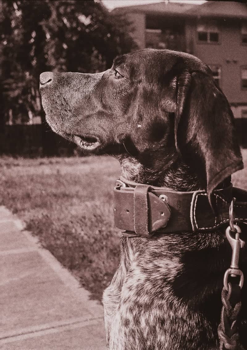 Salem Residential Park - Image 1