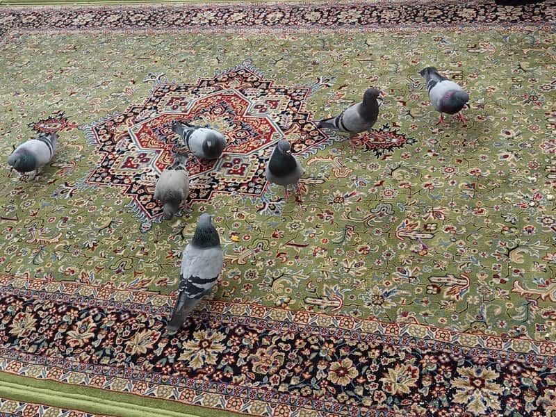 Imam Ali Holy Shrine Courtyard - Image 1