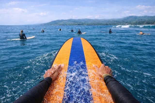 Tropical Surf Lineup