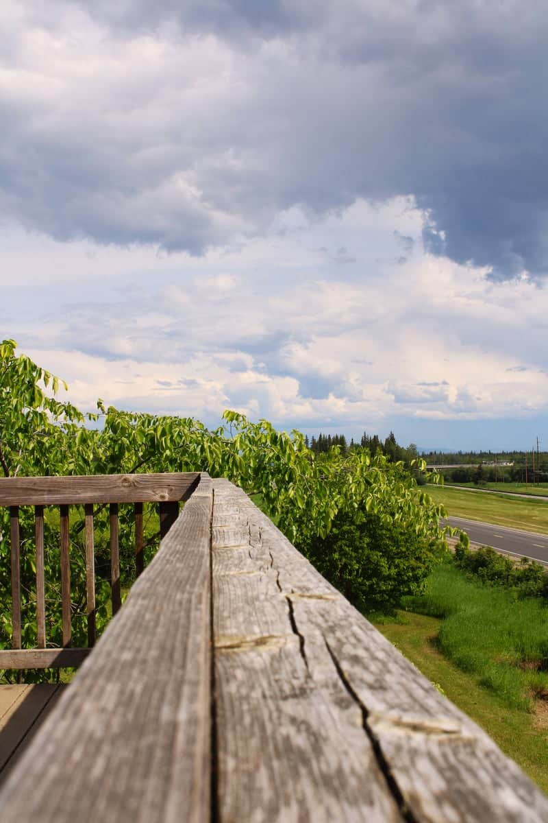 UAF Museum of the North Overlook - Image 1