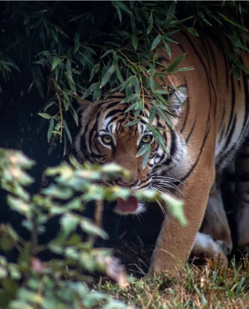 Zoo Knoxville - Image 1