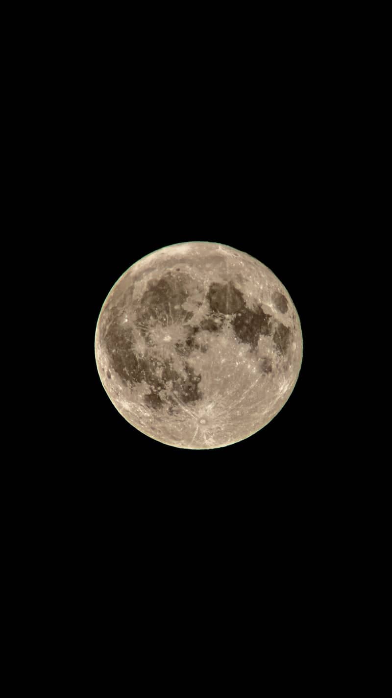 Golfo Aranci Night Sky - Image 1