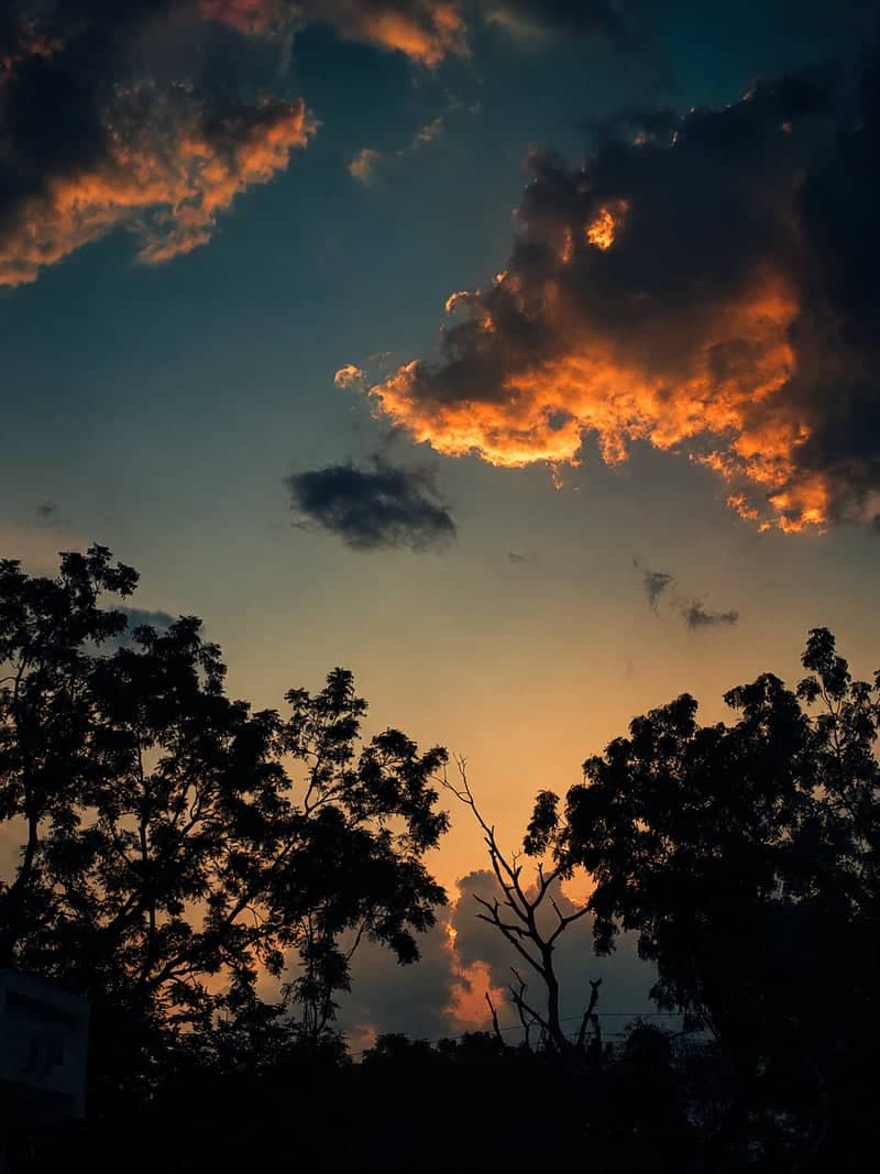 Kathlal Sunset Horizon - Image 1