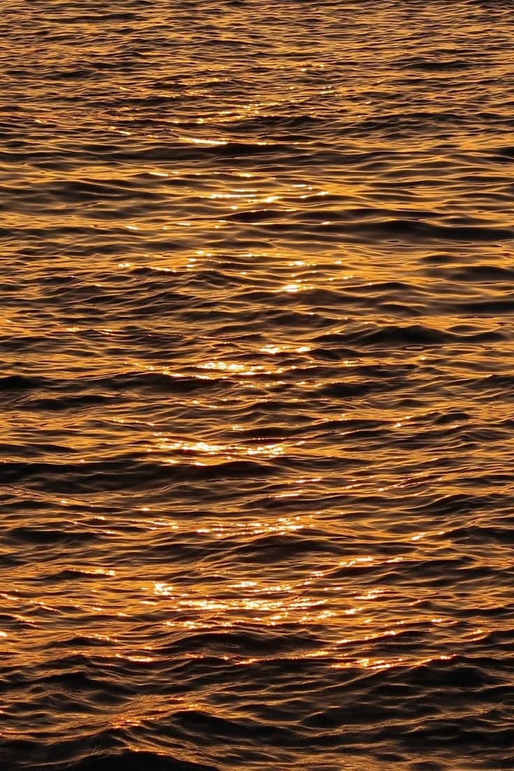 Kasimedu Beach Waterfront - Image 1
