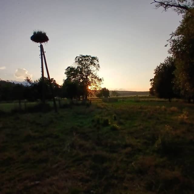 Czerwieniec Stork Nest Meadow - Image 1
