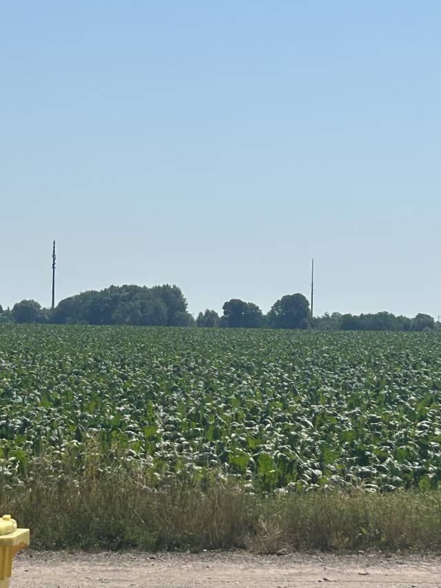 Kabelsketal Agricultural Fields - Image 1