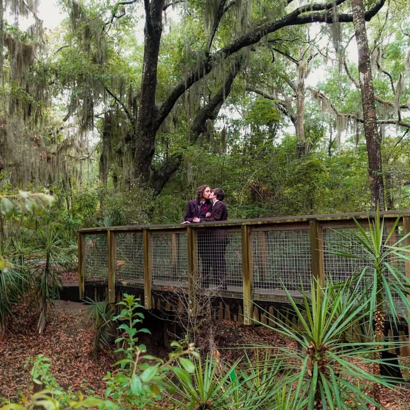 Little Talbot Island State Park - Image 1