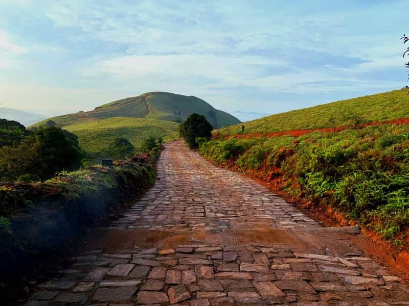 Paithalmala Hill Station - Image 1
