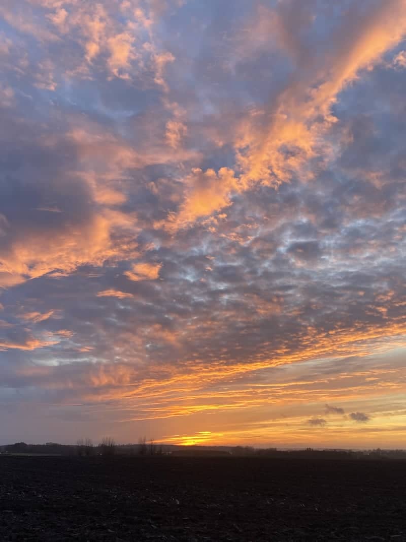 Funen Farmland Sunset Overlook - Image 1
