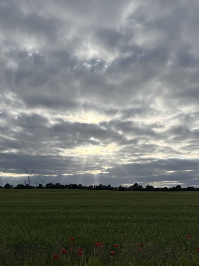 Middelfart Countryside Fields - Image 1