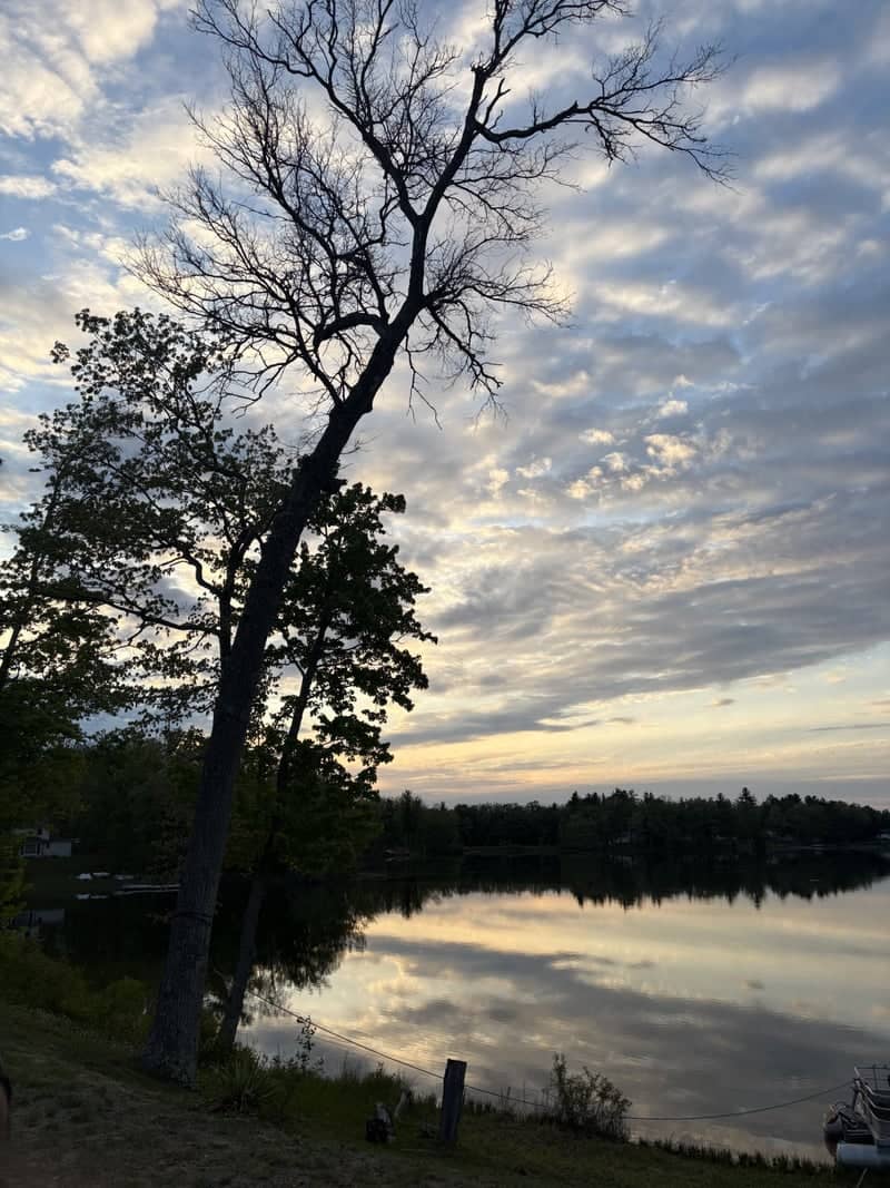 Idlewild Lake Shoreline - Image 1