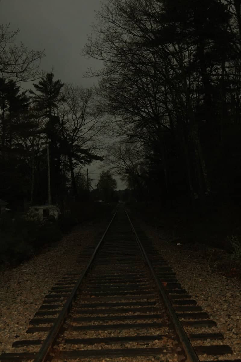 Milton Forest Railroad - Image 1