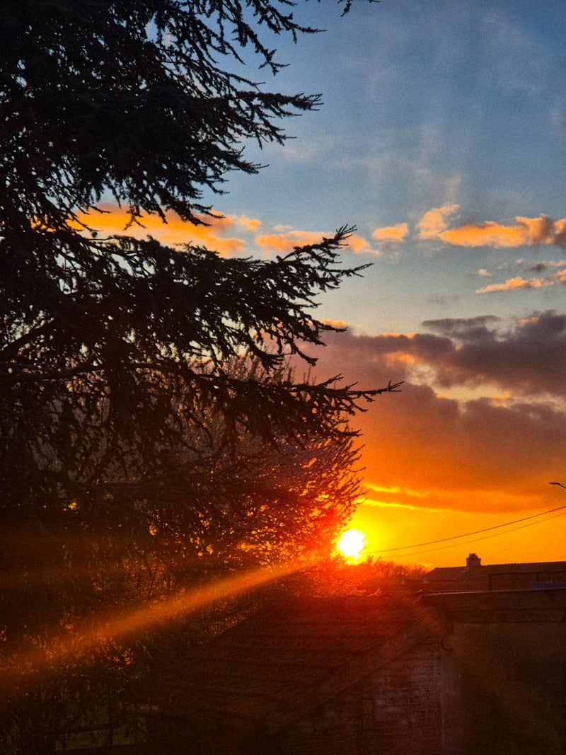Dombasle Sunset Silhouette - Image 1