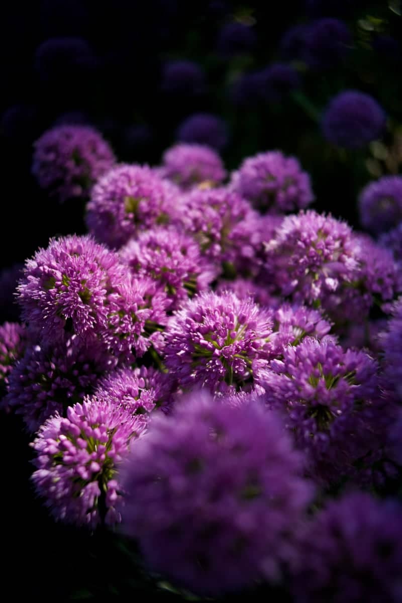 Coastal Maine Botanical Gardens - Image 1