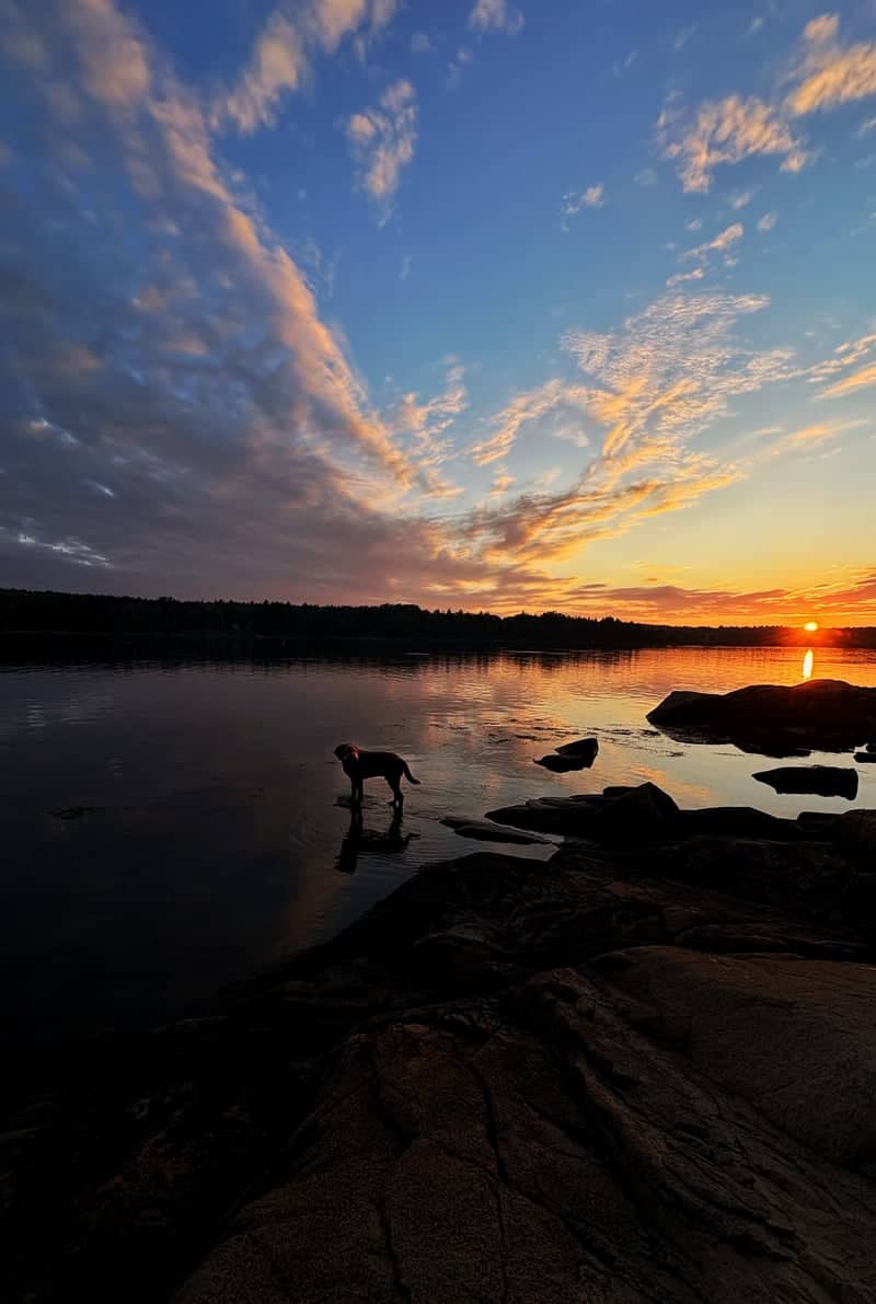 Goods Point Shoreline - Image 1