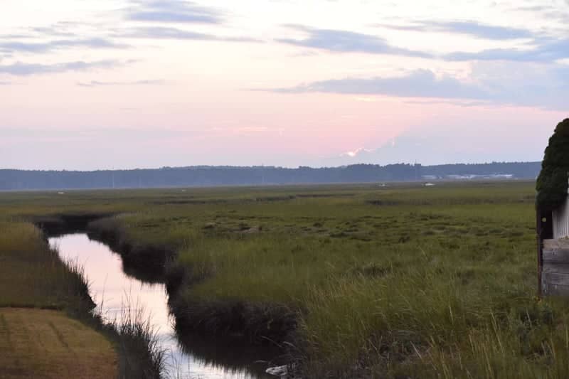 Ten Mile River Wetlands - Image 1
