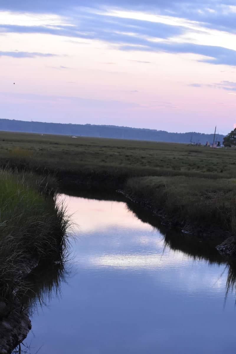 Ten Mile River Wetlands - Image 1
