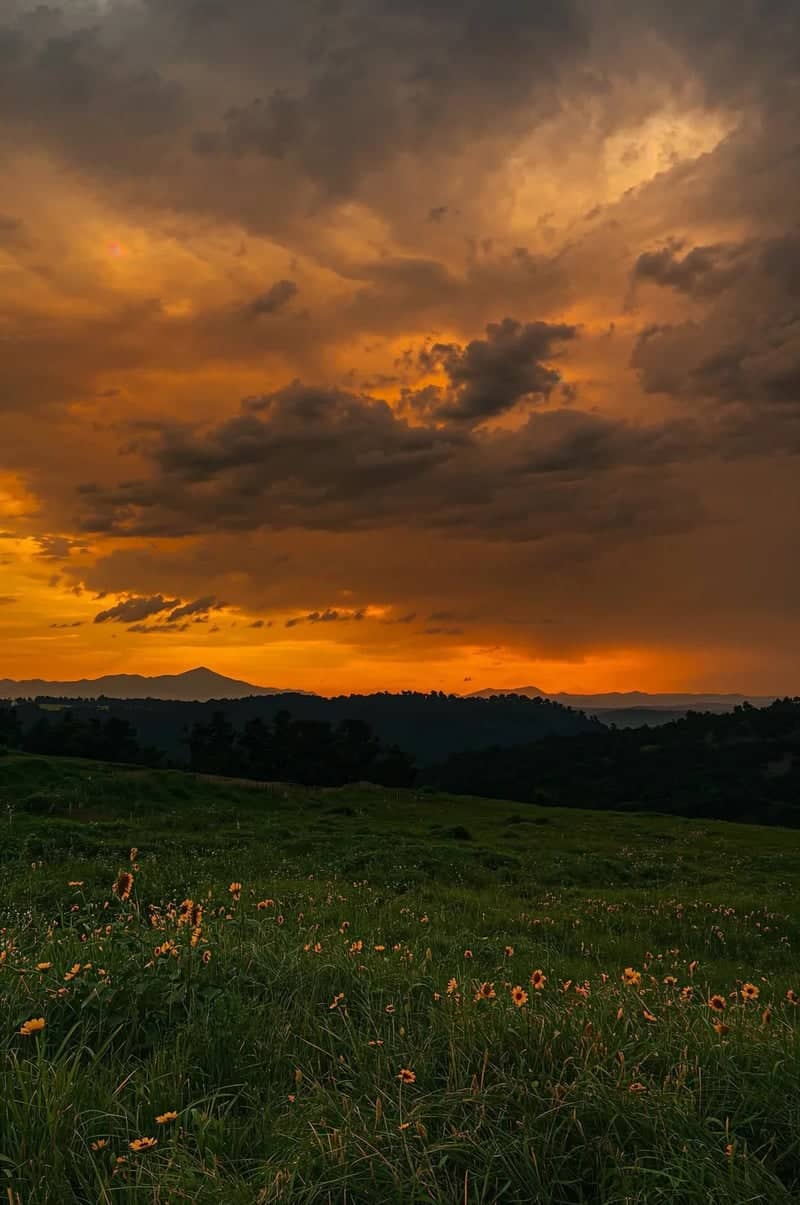 Sevierville Mountain View Meadow - Image 1