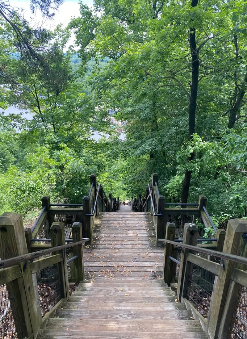 Mount Baldhead Park Stairs - Image 1
