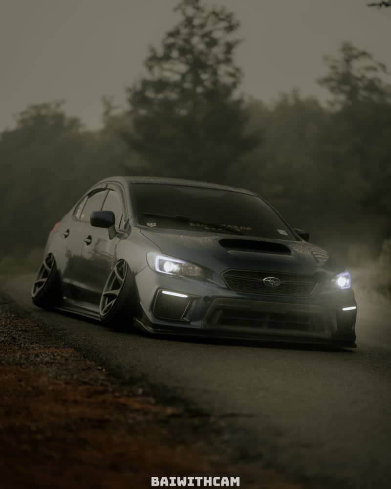 Blue Ridge Mountain Forest Road - Image 1