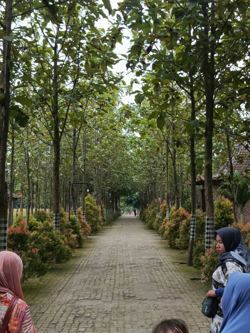 Majalengka Garden Walkway - Image 1