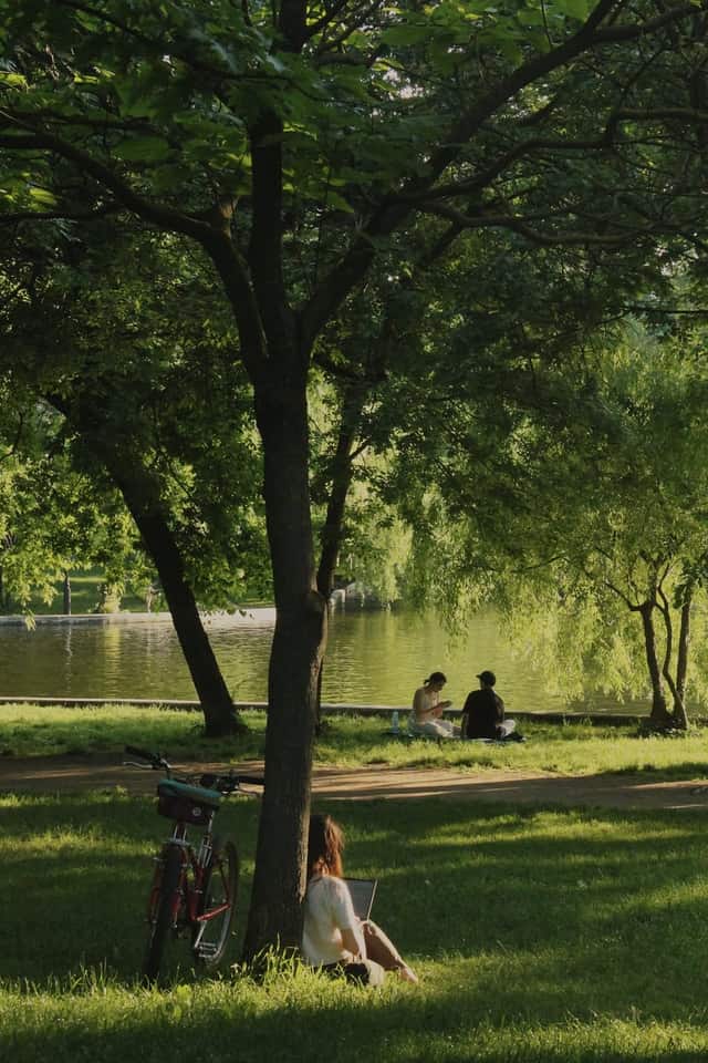 Cișmigiu Gardens