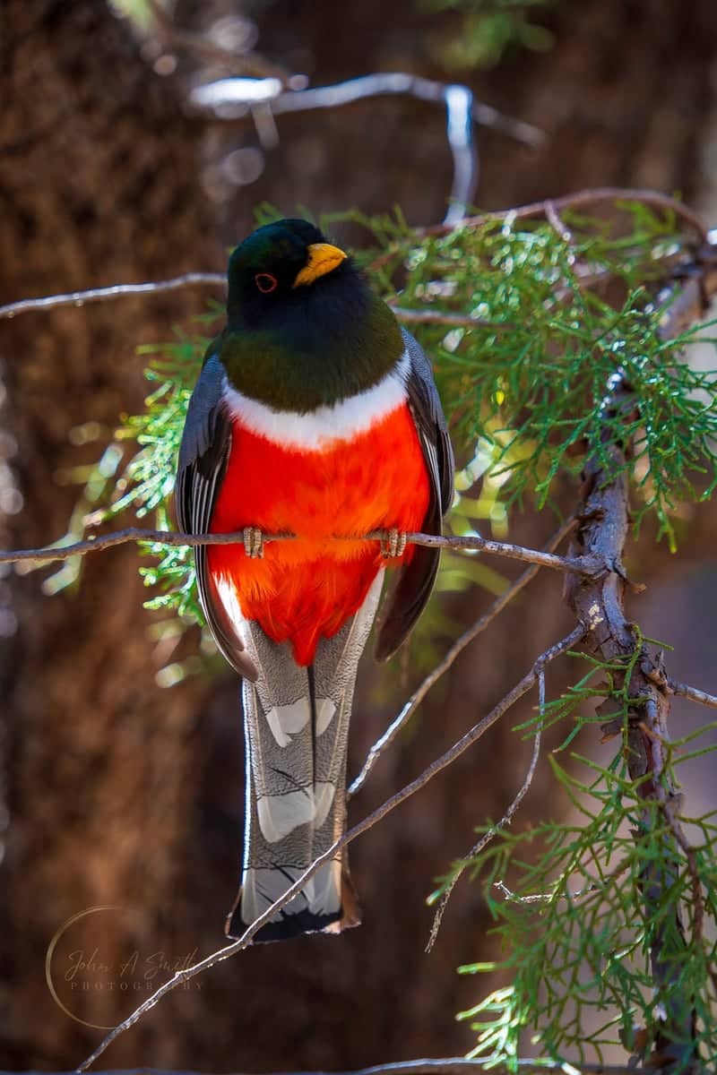Sabino Canyon Recreation Area - Image 1