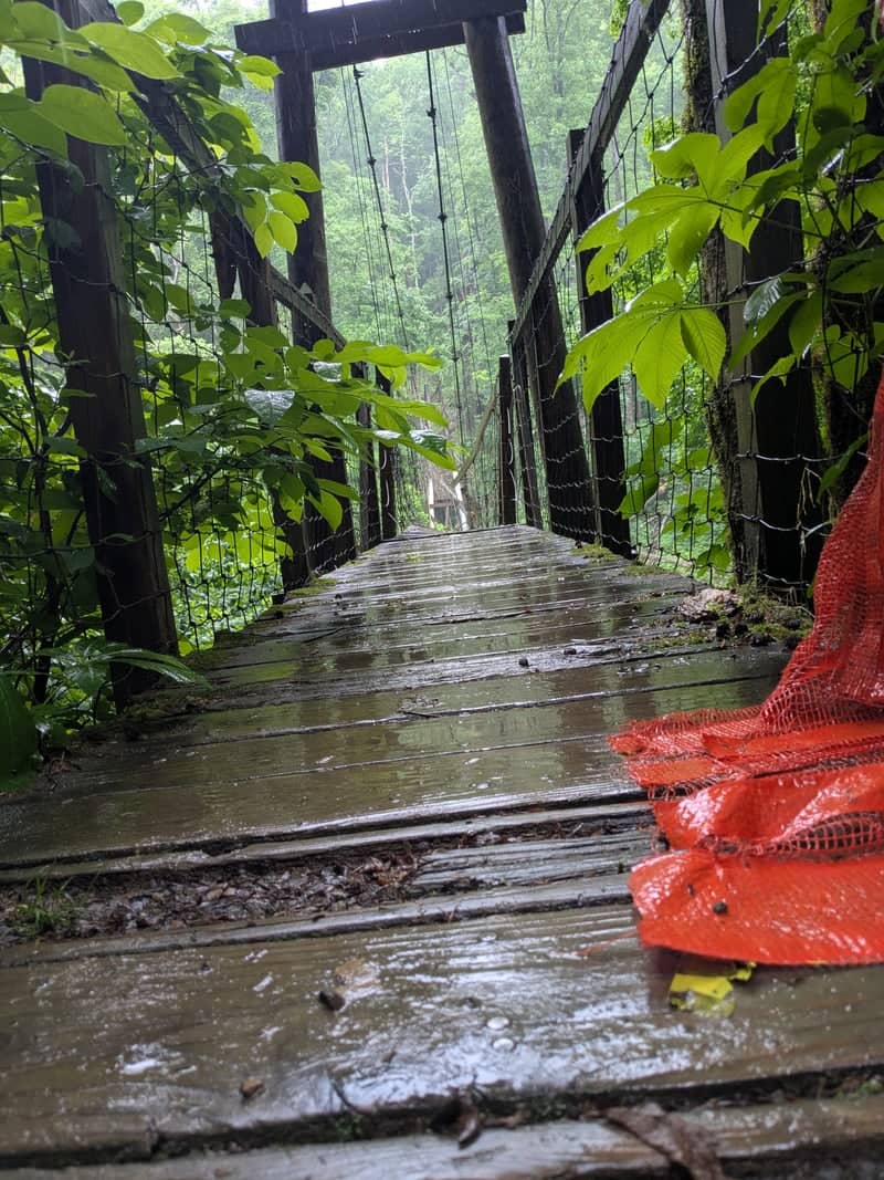 Red River Forest Footbridge - Image 1