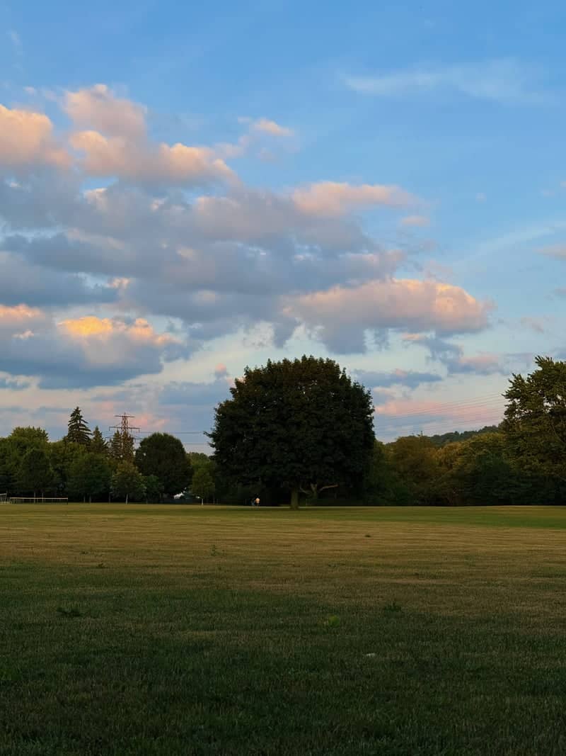 Alexander Park Field - Image 1