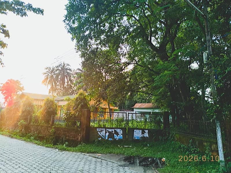 Nalbari Suburban Greenery - Image 1
