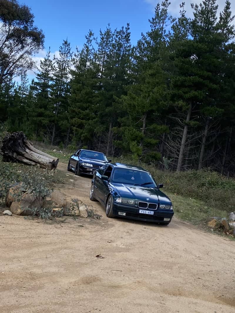 Brindabella Range Forest Track - Image 1