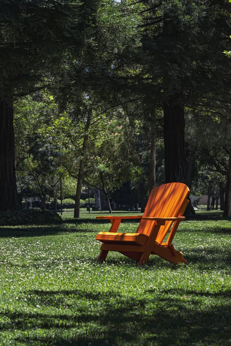 University of the Pacific Campus - Image 1